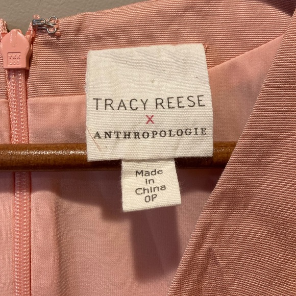 Tracy Reese X Anthropologie Pink Painterly Pleated Fit & Flare Dress - Picture 2 of 6